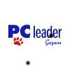 PC Leader