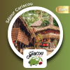 Séjour Cariacou ( adulte & enfant)