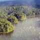 Atmosphère d'Amazonie - Excursions en Forêt